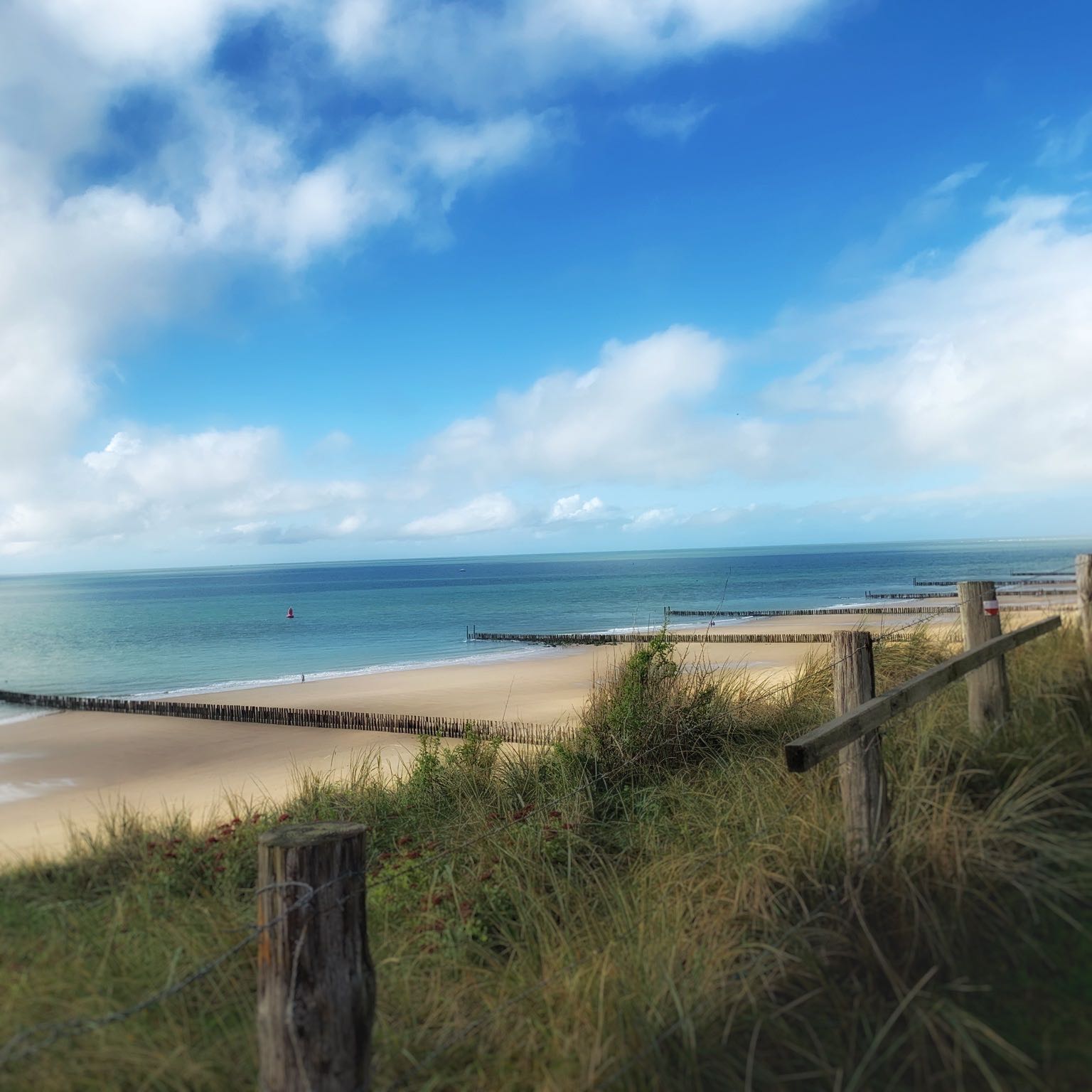 Strand Zoutelande - Zoutelandevakantie